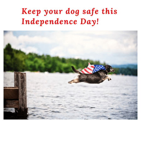 https://www.msasecurity.net/hs-fs/hubfs/4thjuly2019.png?width=449&name=4thjuly2019.png