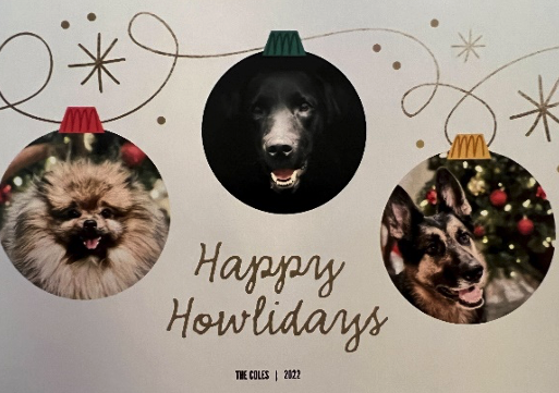 2022 holiday card of three dogs on ornaments