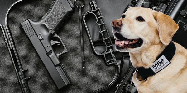 MSA firearms detection dogs mitigate the active shooter threat