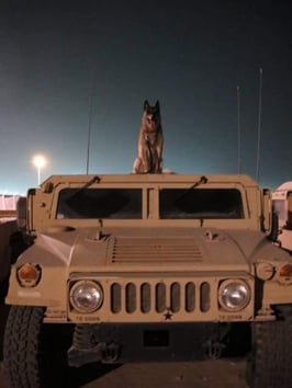  Canine Max is sitting on the military Vehicle