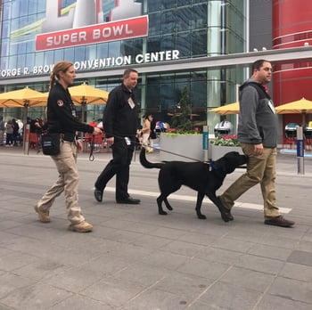 msa security team walking on street with explosive detection canine