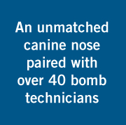an unmatched canine nose paired with over 40 bomb technicians infographic