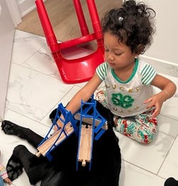 photo of a black Labrador on the floor playing with a toddler.