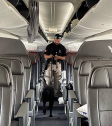MSA Narcotic Canine and Handler Sweeping Plane Cabin
