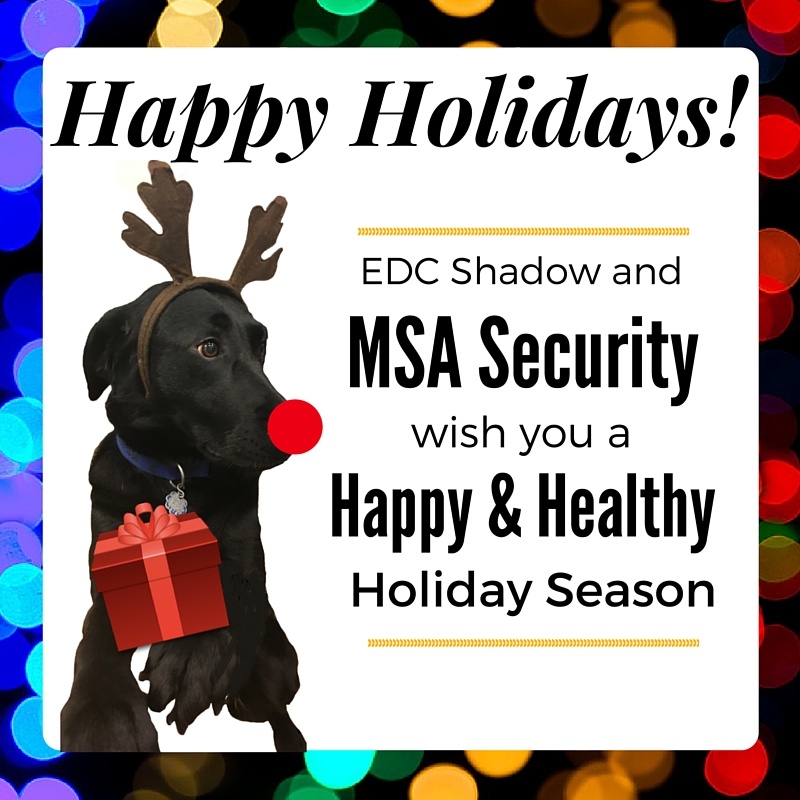 Merry Christmas from MSA Security