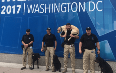 MSA Security Explosive Detection Canine Teams Sports Event