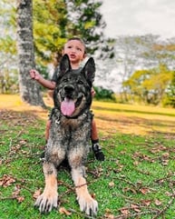 MSA Explosive Detection Canine and young boy