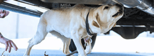 Incoming delivery vehicles quickly swept for threats by MSA bomb dogs