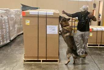 Handler and Canine in Training Center